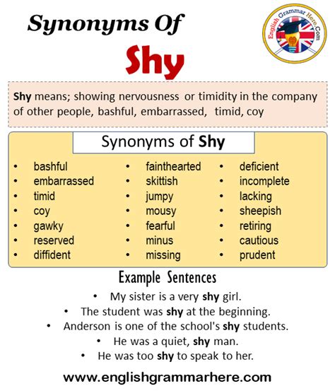 shy synonym|words for shy and quiet.